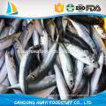 Good Quality Frozen Whole Anchovy for your choice